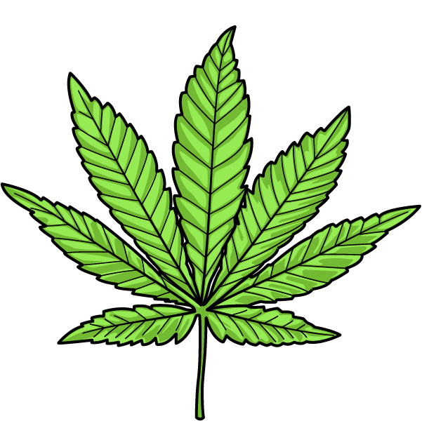 Picture of an Indica leaf