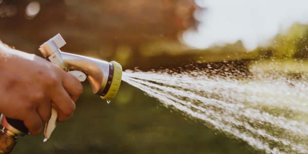 Stop overwatering marijuana