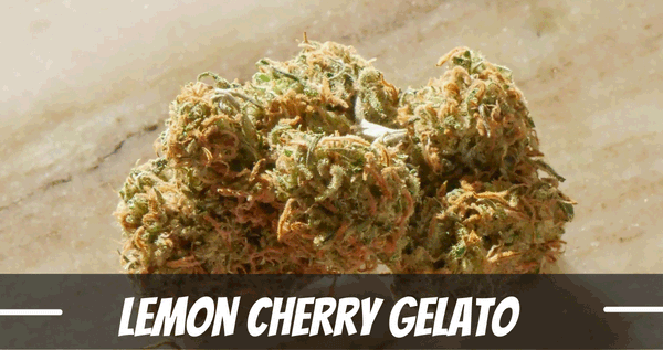 Lemon Cherry Gelato