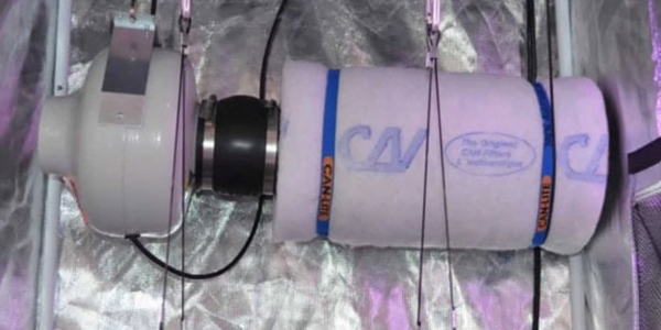 Carbon filter for smell control inside marijuana grow room