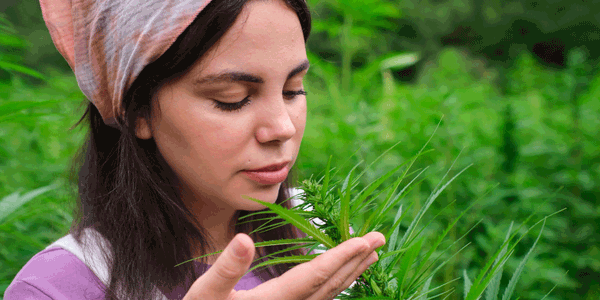 A woman smelling the flavor of Bubba Fett strain