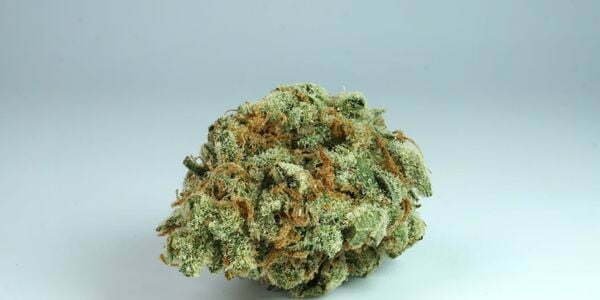 Donny Burger cannabis strain