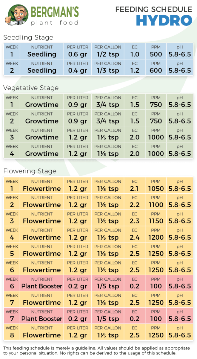 Bergman's feeding schedule for hydroponic nutrients