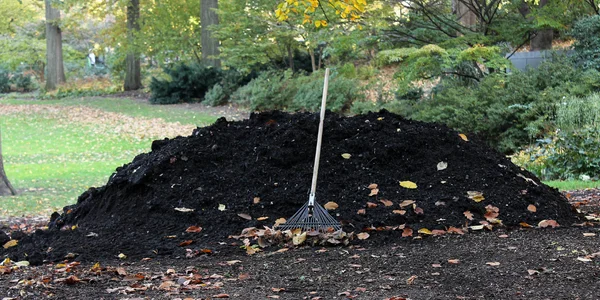 manure for a marijuana soil medium