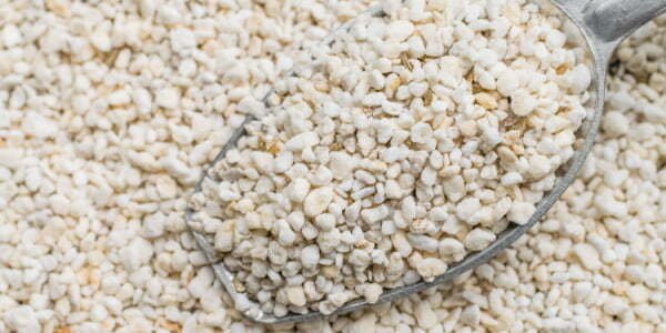 scooping perlite grow medium