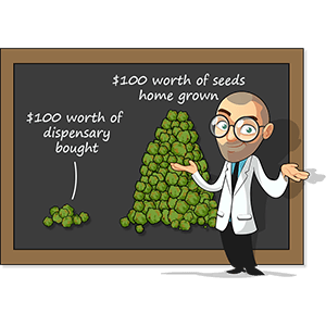 Bergman explaining beginners