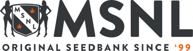 MSNL logo