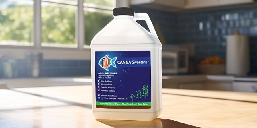 Canna sweetener