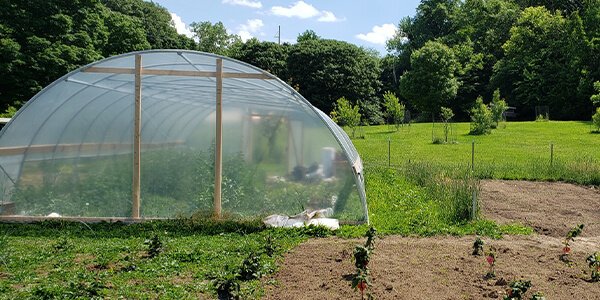 tarp over hoop house