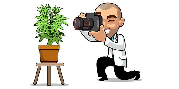 Robert Bergman taking photos