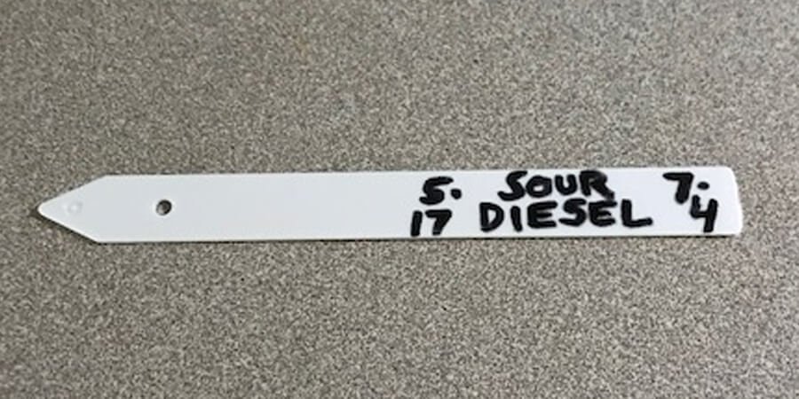 Label info with permanent marker