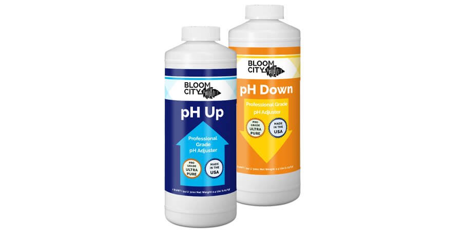 Bloom City ph Up and Down Bloom city ph