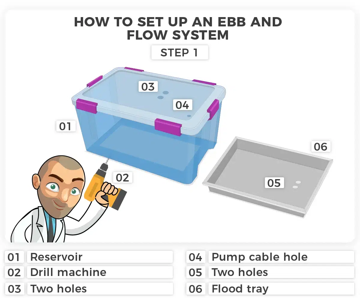 Step 1 Ebb and Flow