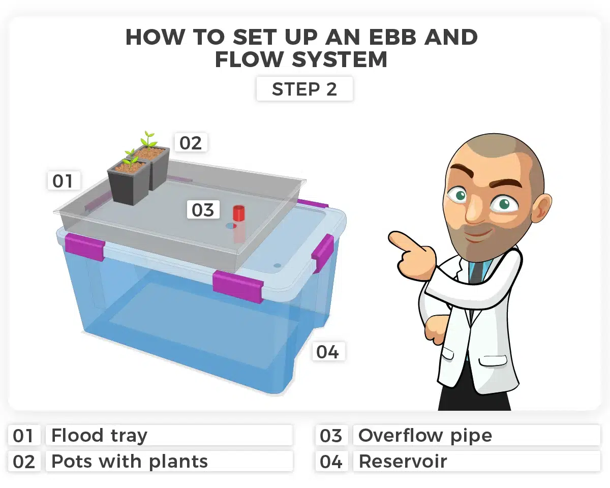 Step 2 Ebb and Flow