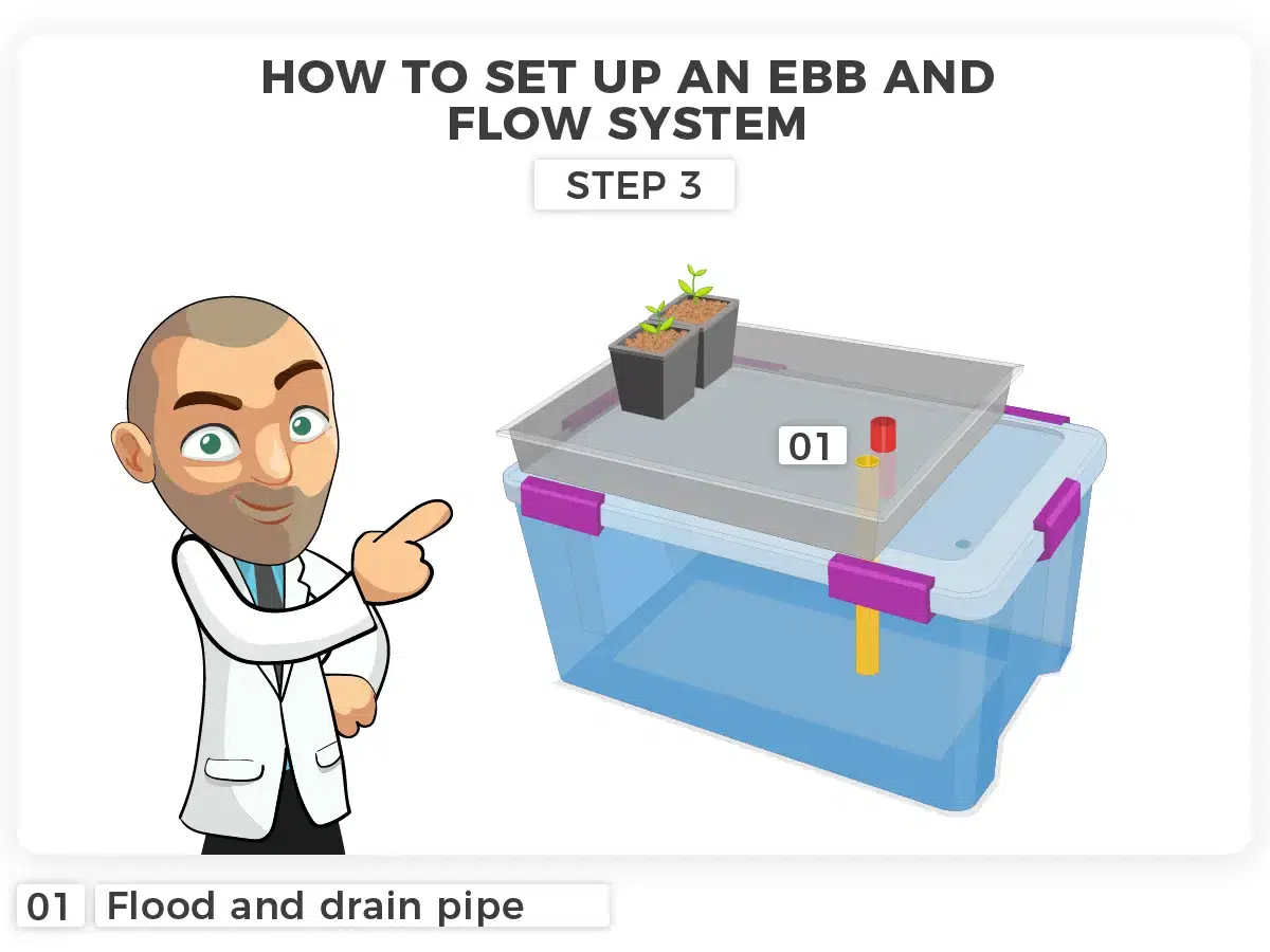 Step 3 Ebb and Flow