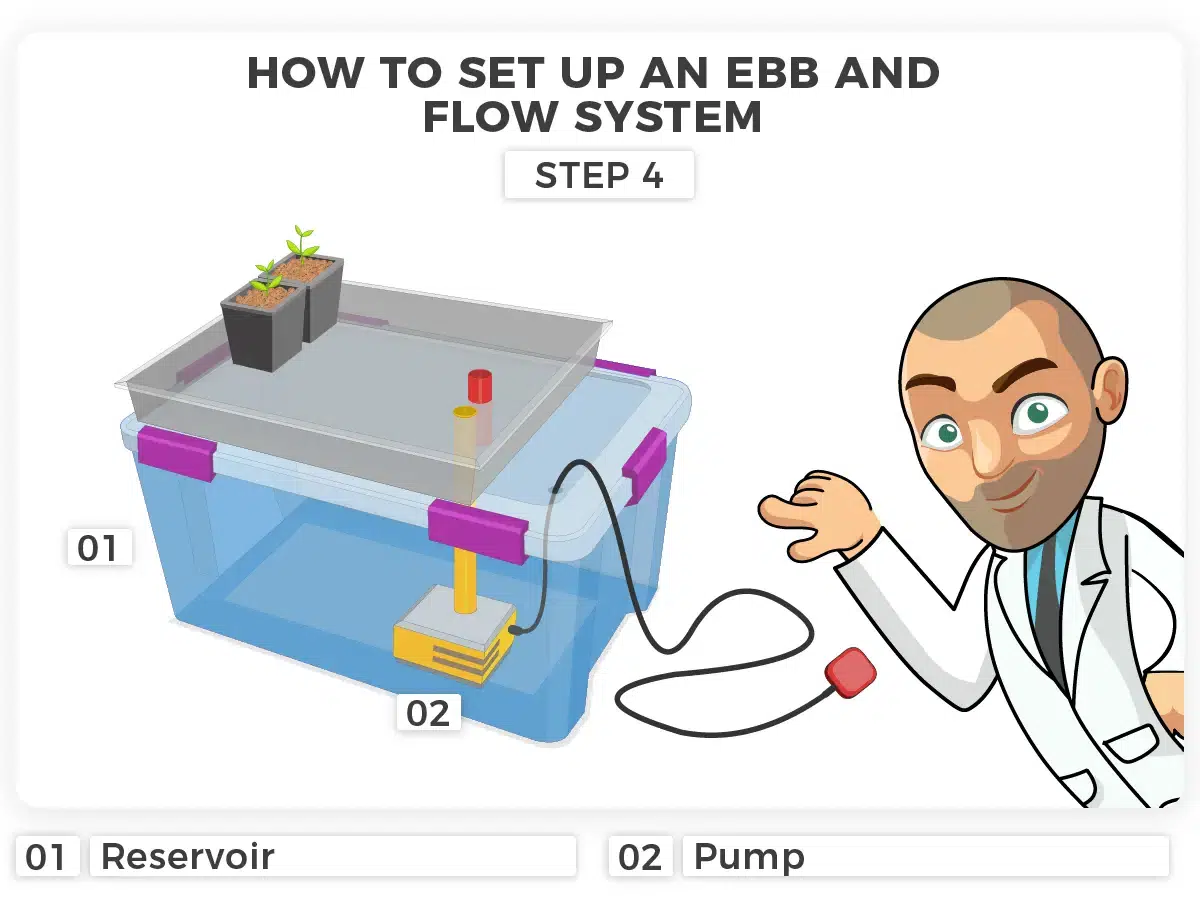 Step 4 Ebb and Flow