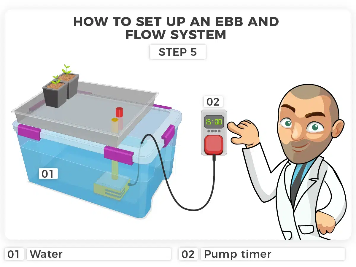 Step 5 Ebb and Flow