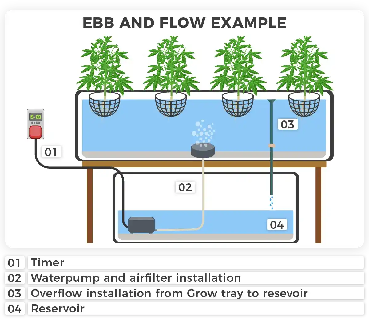 Illustration of Ebb and Flow