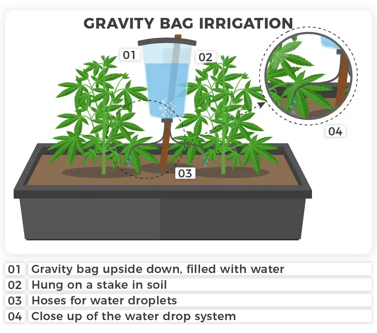 Gravity Bag irrigation weed plants