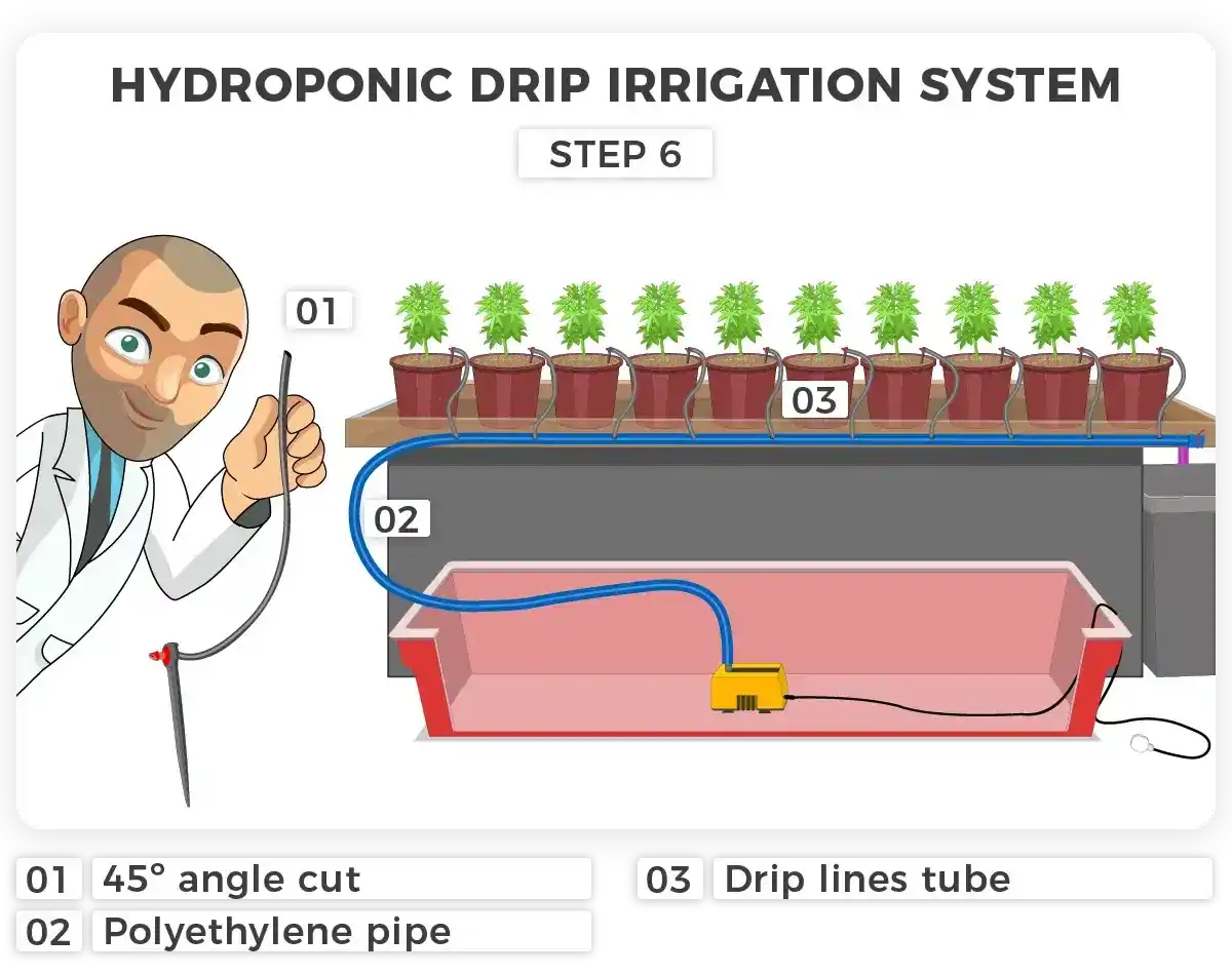 hydroponic drip irrigation system for cannabis plants