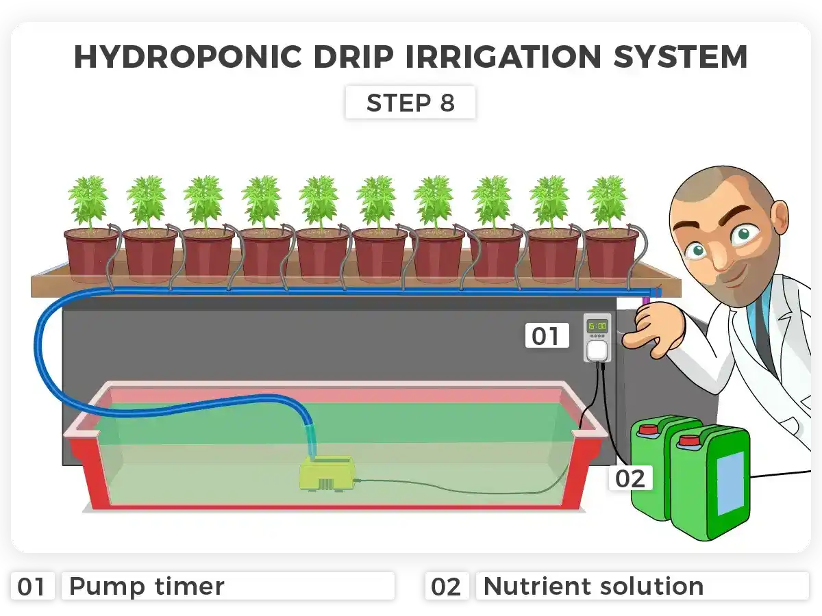 hydroponic drip irrigation system for weed plants