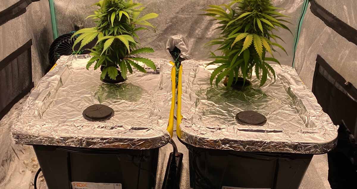 Ebb and Flow system in action