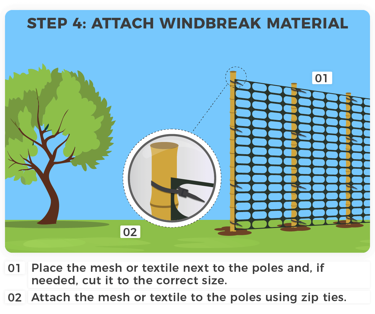 Constructing a windbreak. Step 4: Attach windbreak material